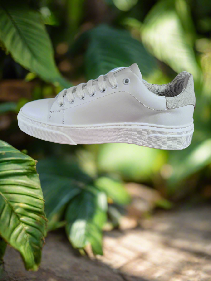 Basic Sneakers - ART. AZ52