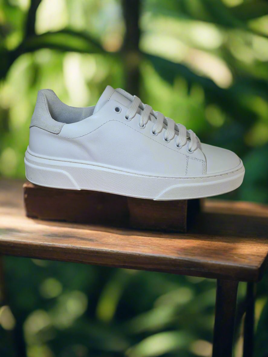 Basic Sneakers - ART. AZ52