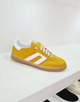 Y 2 - SID Giallo Ocra
