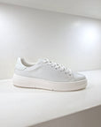 BRIAN MILLS - 568 Pelle Bianco Total